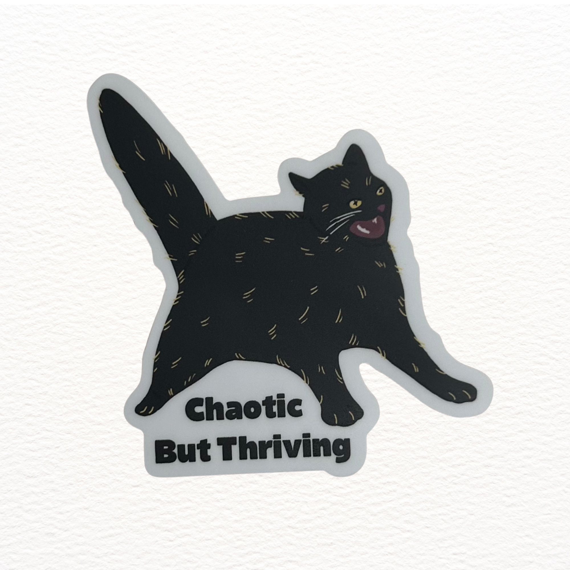 Chaotic but Thriving Cat Sticker